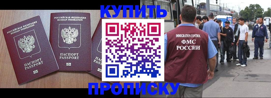 прописка 2025 в Щёкино