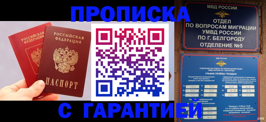 прописка 2025 в Щёкино